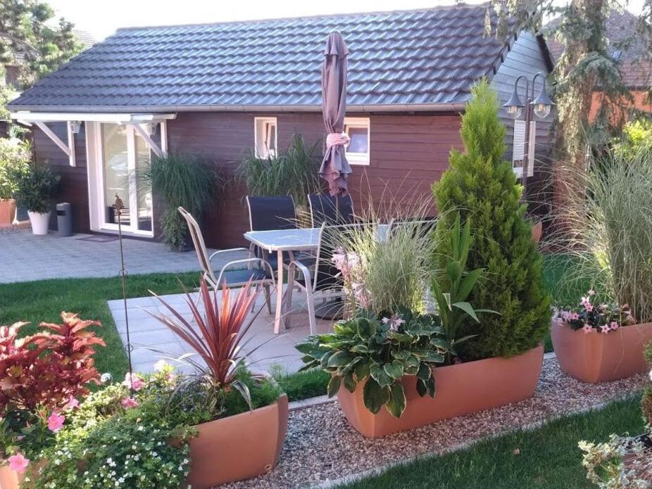 Gites Le P'Tit Paradis Du Ried Sundhouse 外观 照片